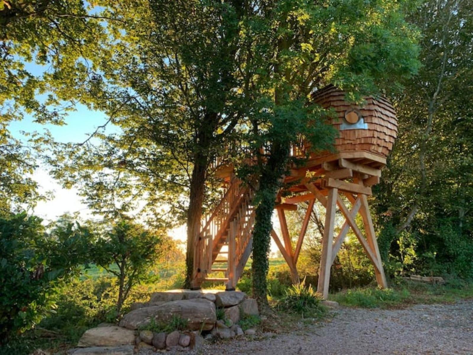 ארקוי La Ville Es Renais - Ferme Et Maison D'Hotes Insolite מראה חיצוני תמונה